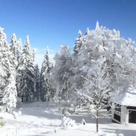 Casa de hóspedes Haus Am Waldesrand Oberhof (Thuringia)