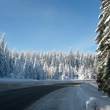 Affittacamere Haus Am Waldesrand Oberhof (Thuringia)