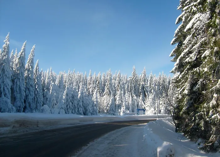 Vendégház Haus Am Waldesrand 3*