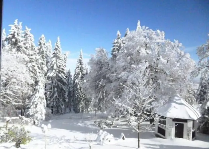 Gasthof Haus Am Waldesrand Oberhof (Thuringia)